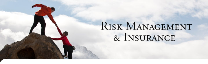 What is Risk Management and Insurance